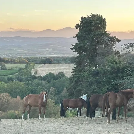Holiday home L'ancienne Forge