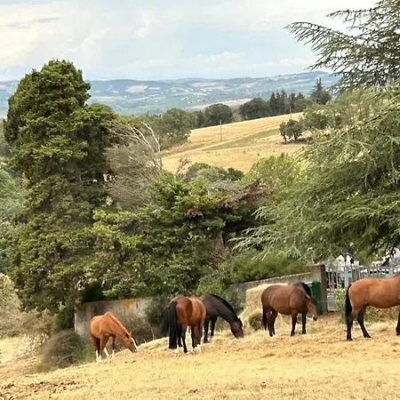 L'ancienne Forge Holiday home