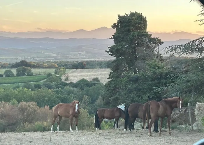 Feriehus L'ancienne Forge