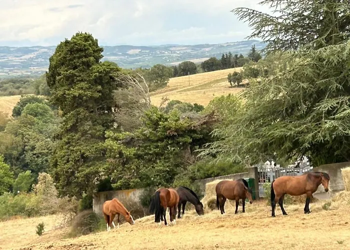 L'ancienne Forge Feriehus